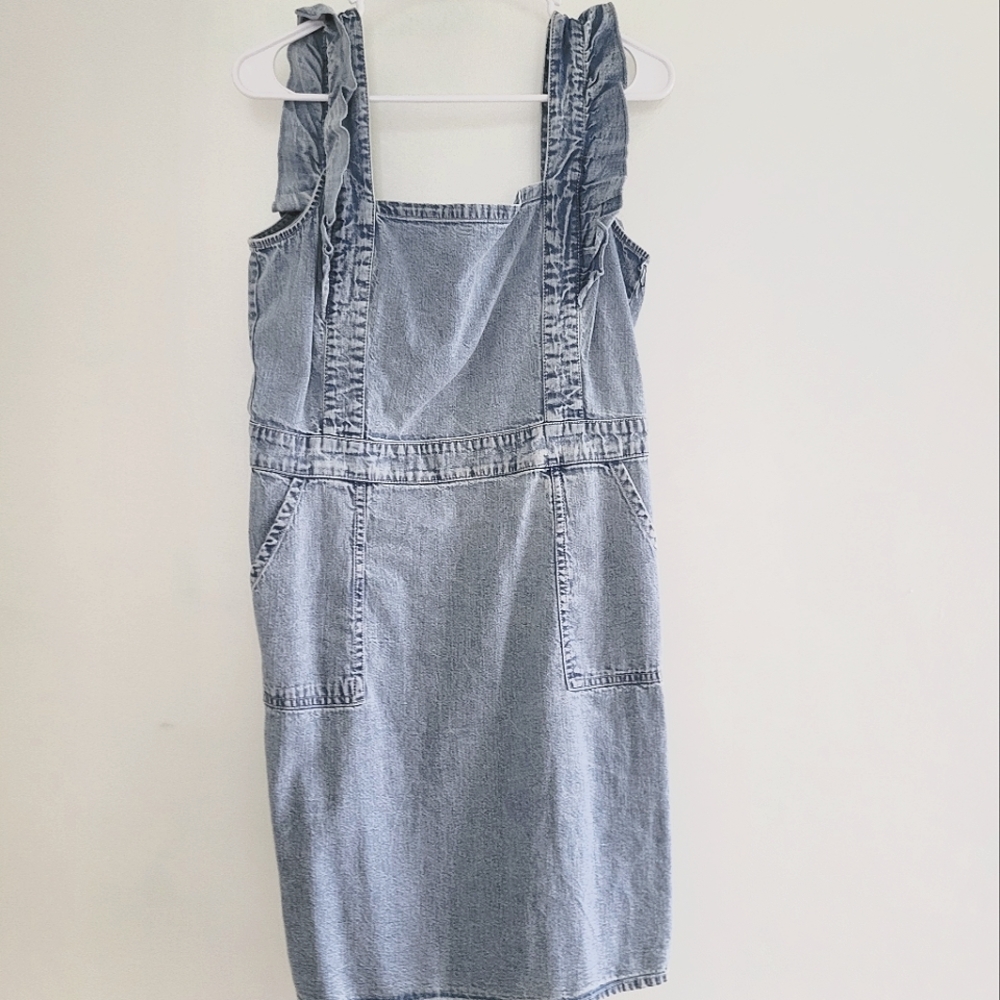 Japna Denim Dress